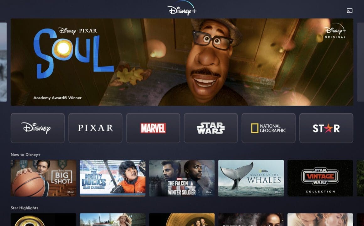 Disney+ Star